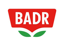 بدر
